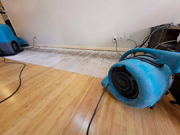 Professional Water Damage Repair technician working in Crescent, OK
